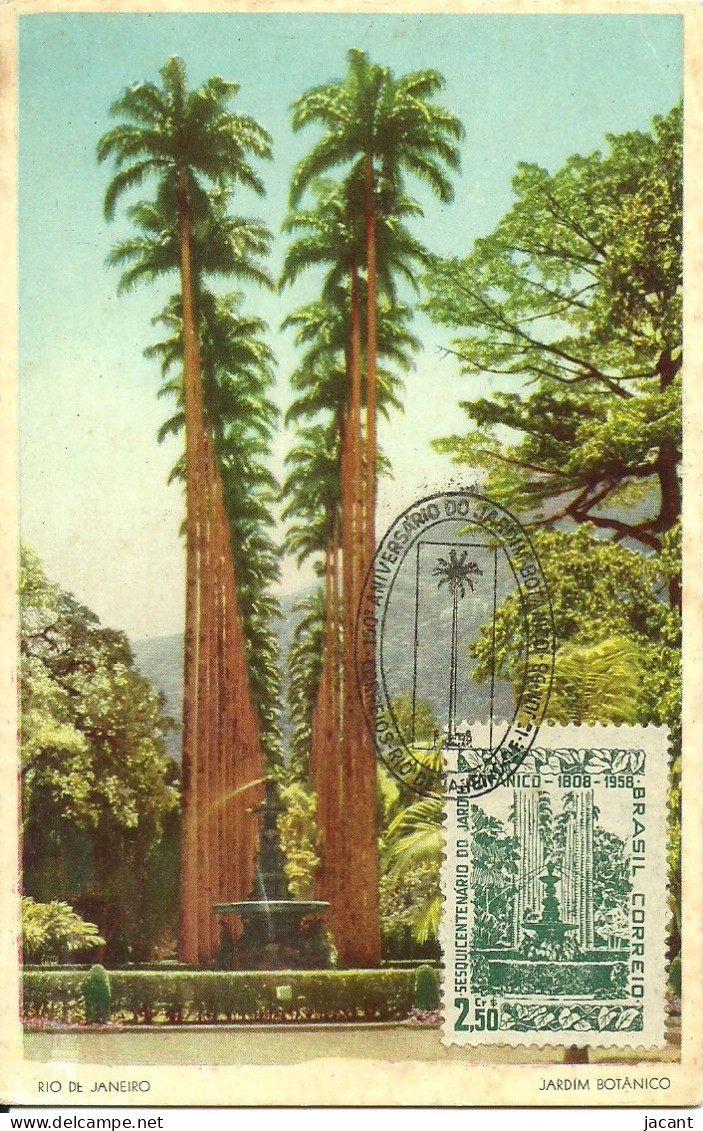 Carte Maximum - Brasil - Rio De Janeiro - 150º Aniversário Do Jardim Botanico - Botanical Garden - Postal 14 X 9 - Maximumkarten