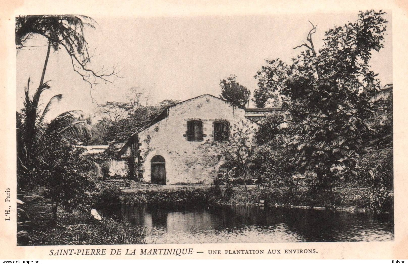 Martinique - Saint Pierre De La Martinique - Une Plantation Aux Environs - Autres & Non Classés