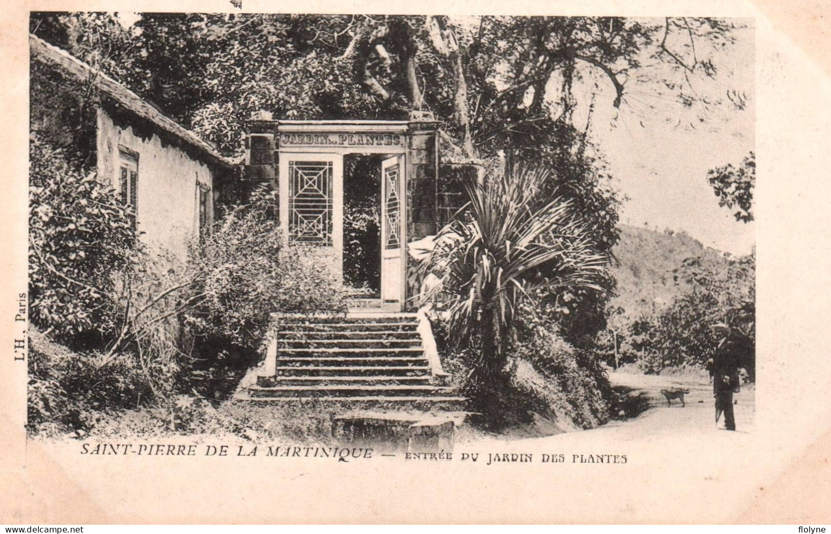 Martinique - Saint Pierre De La Martinique - Entrée Du Jardin Des Plantes - Autres & Non Classés