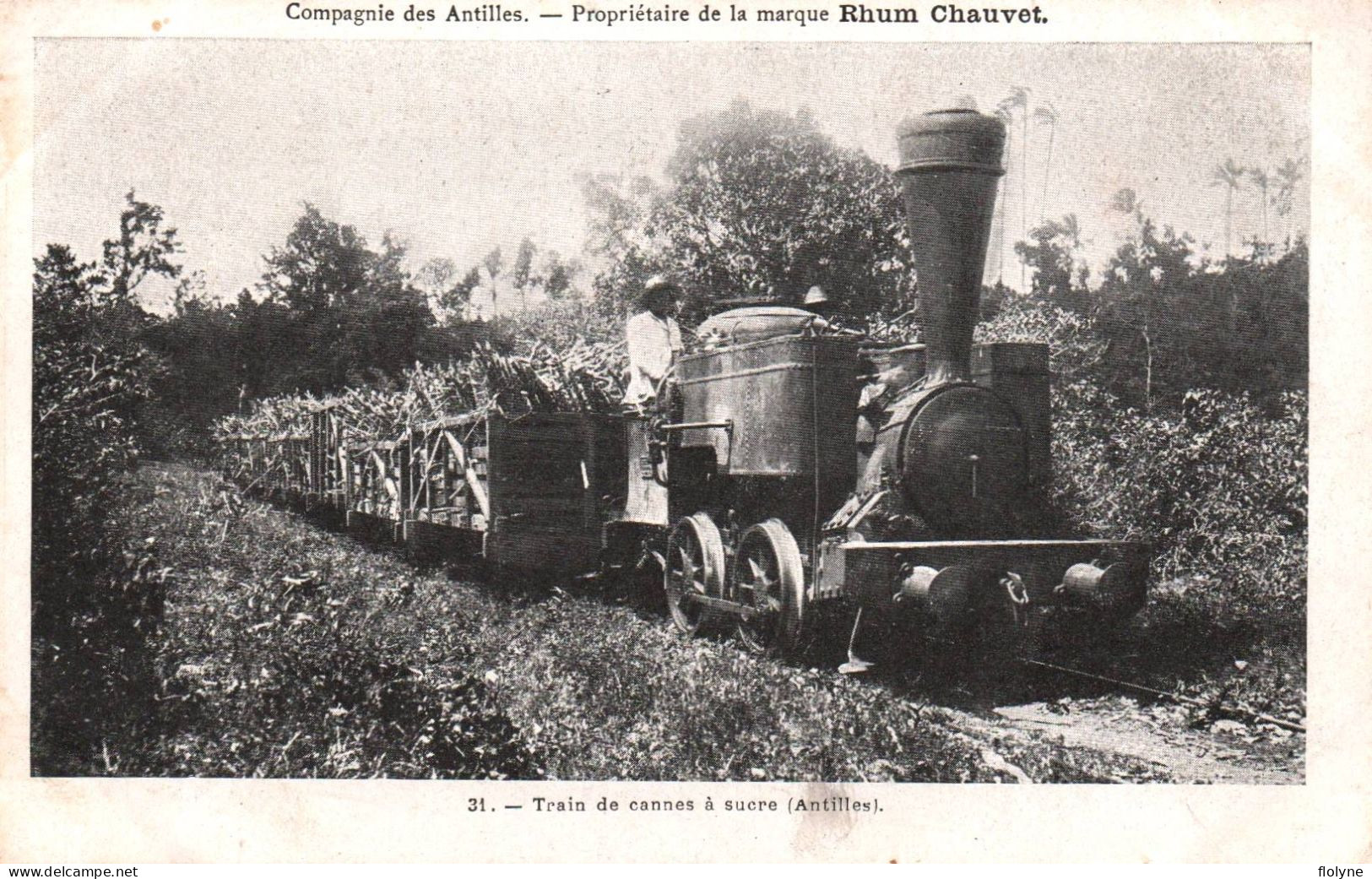 Martinique - Train De Cannes à Sucre - Antille - Ligne Chemin De Fer - Pub Publicité Rhum CHAUVET Compagnie Des Antilles - Autres & Non Classés