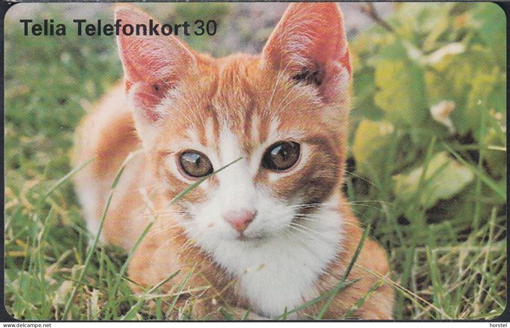 Schweden Chip 261 Kitten - Cat - Katze  (60111/267) - 4309188 - Mint - Svezia