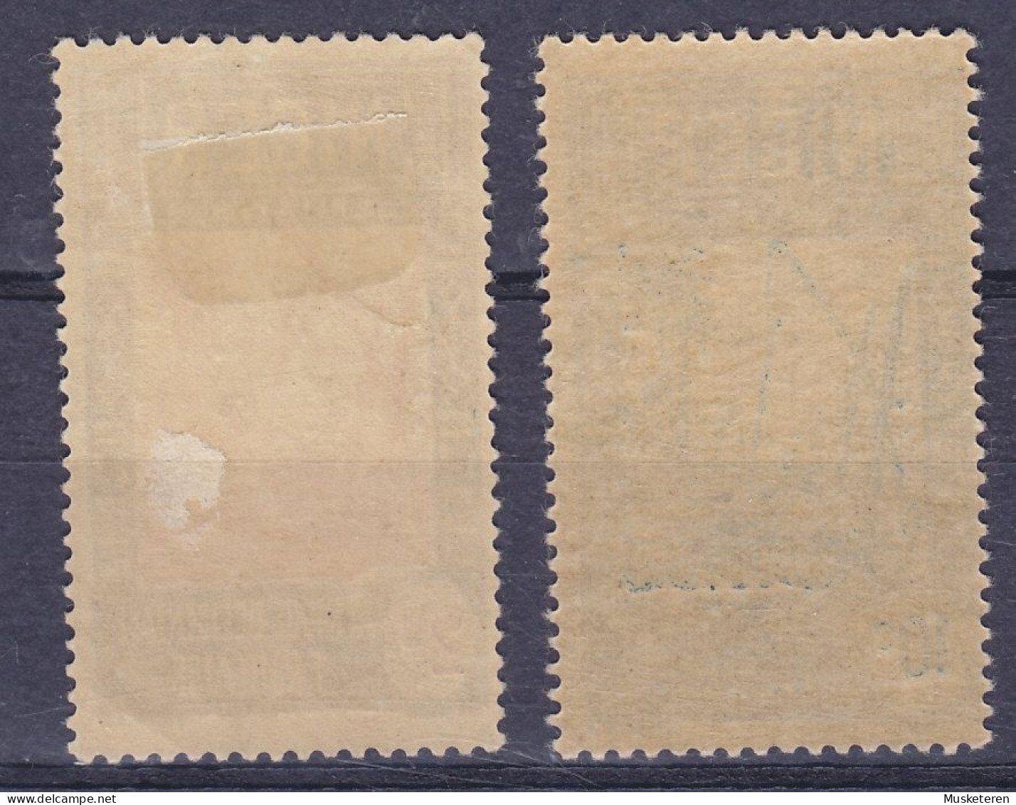 Niger 1926 Mi. 30, 33, 2c. & 10c. Brunnen, MH*/MNH** - Unused Stamps