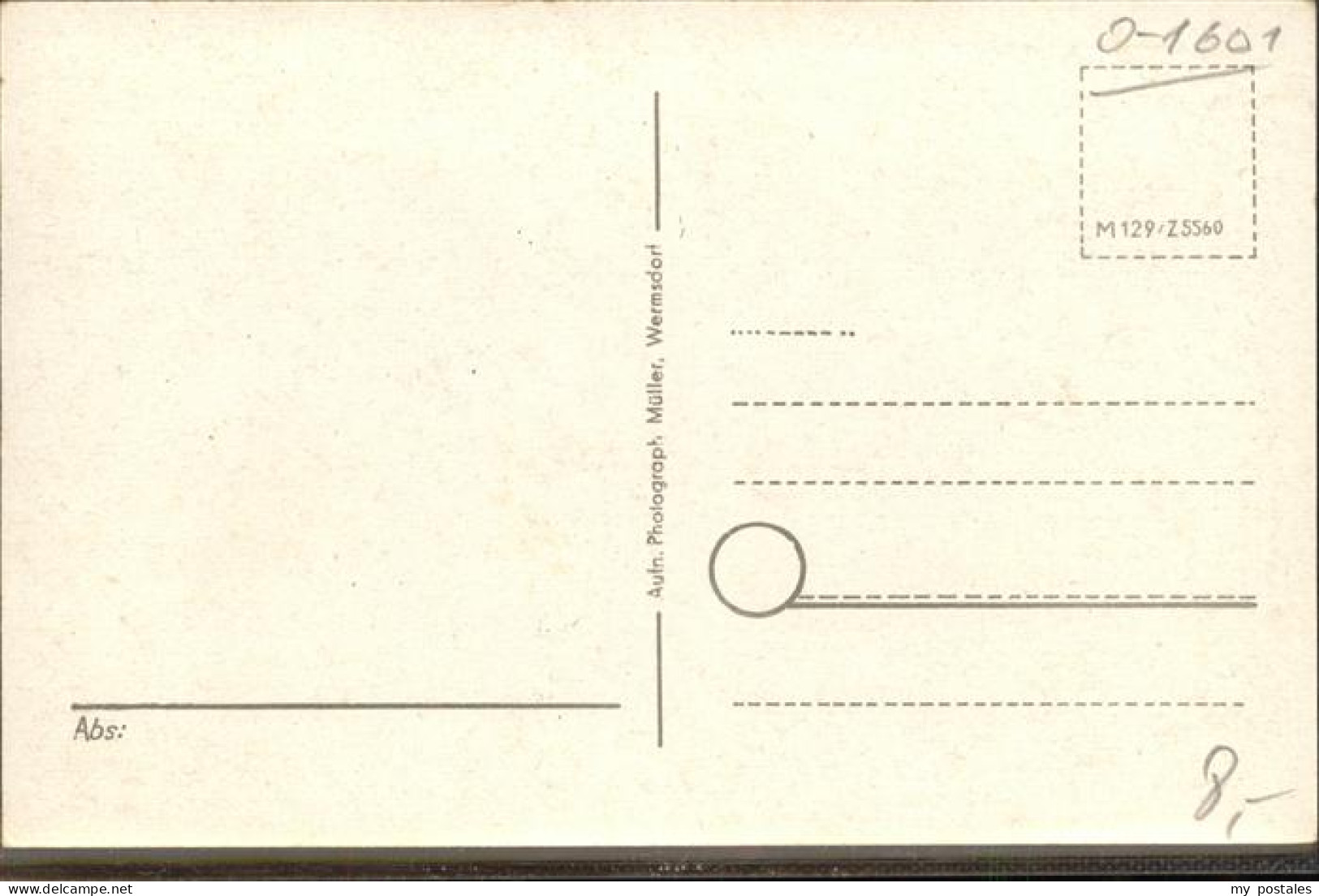 41405352 Wermsdorf Katholische Kirche Zu Hubertusburg Inneres Ehemalige Hofresid - Wermsdorf