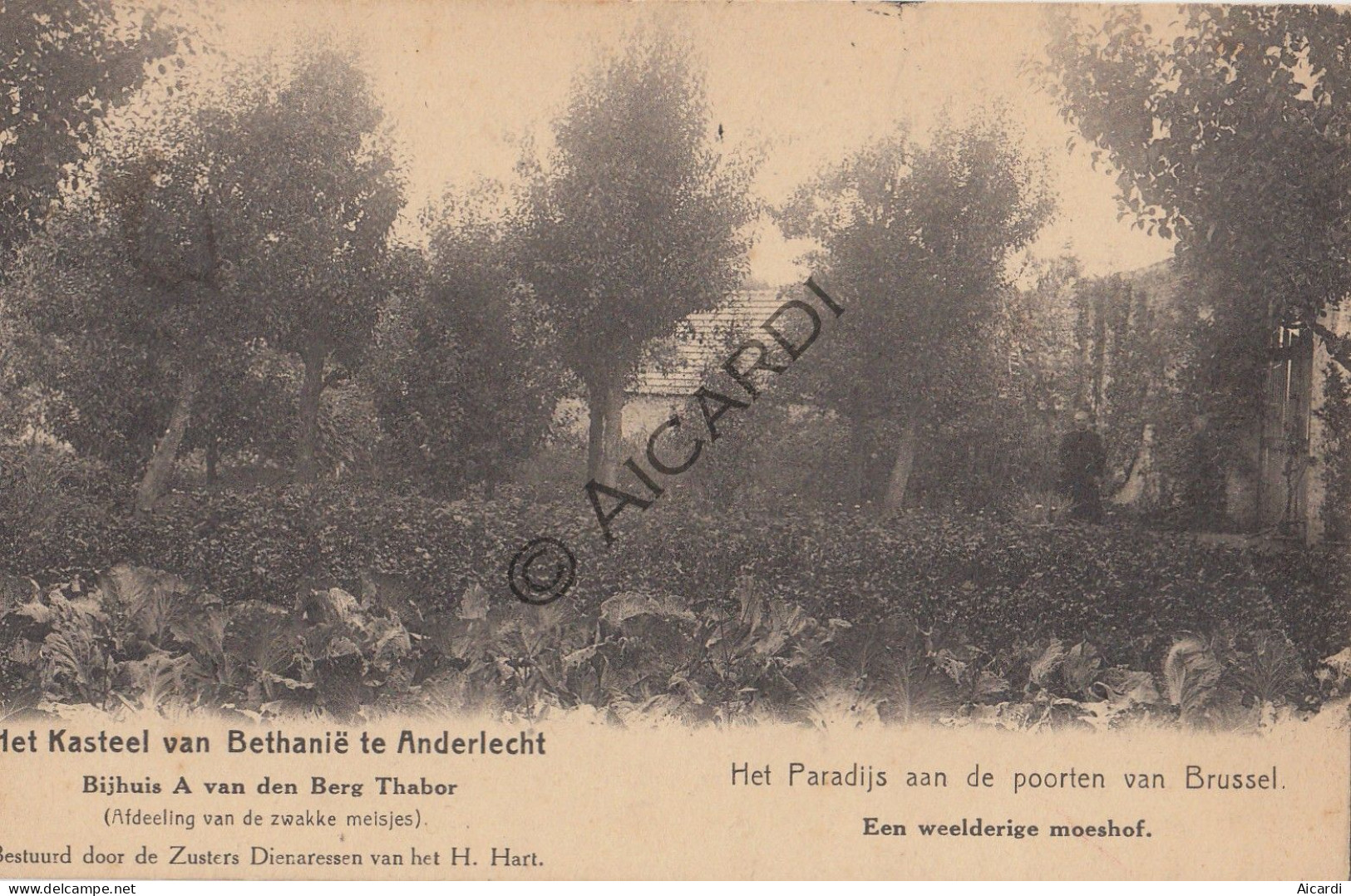 Postkaart/Carte Postale - Anderlecht - Het Kasteel Van Bethanië (A758) - Anderlecht