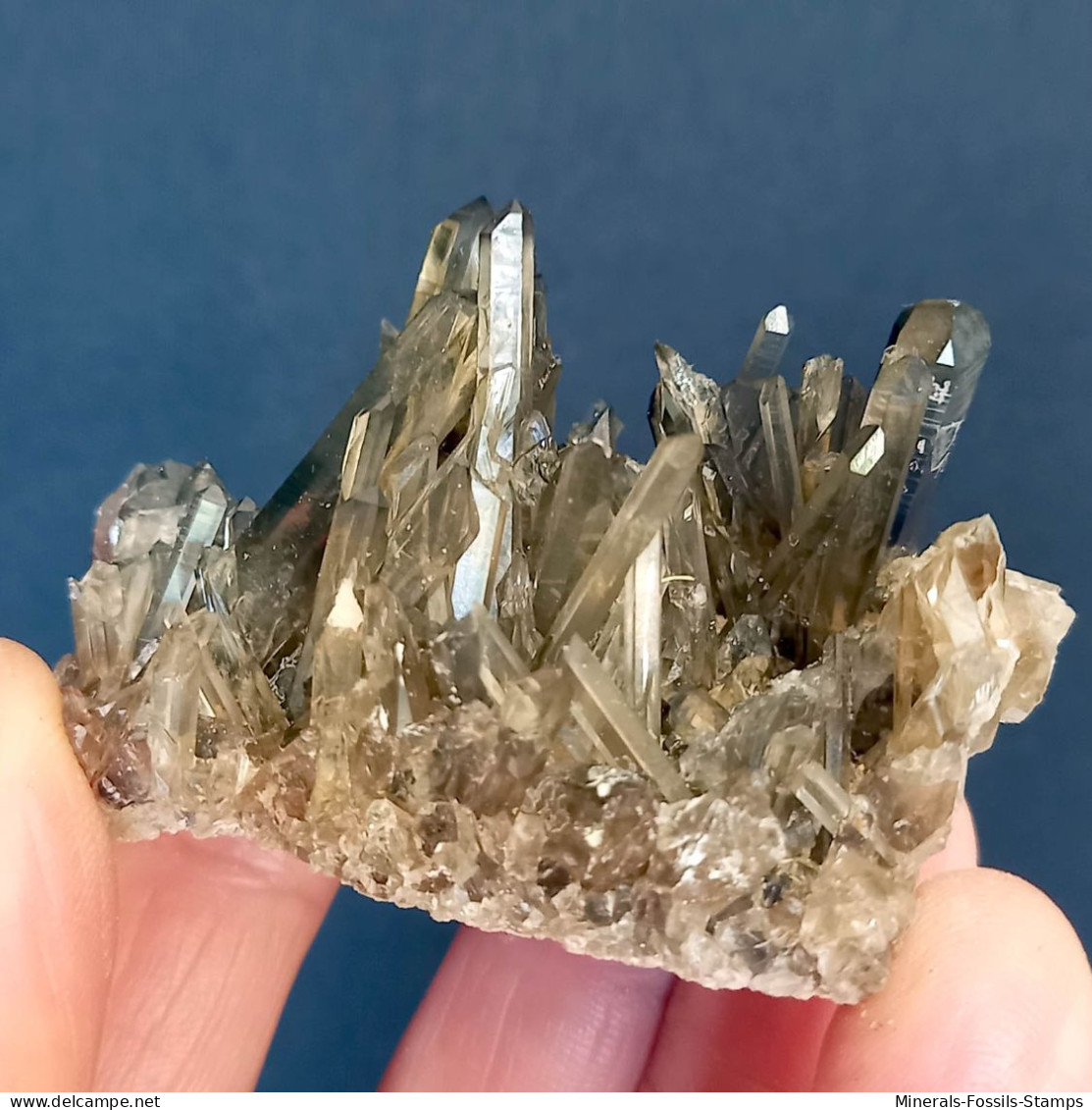 #15 - Beaux Cristaux De QUARTZ MORIONE (Kara-Oba W Deposit, Moiynkum, Jambyl Region, Kazakhstan) - Minerales