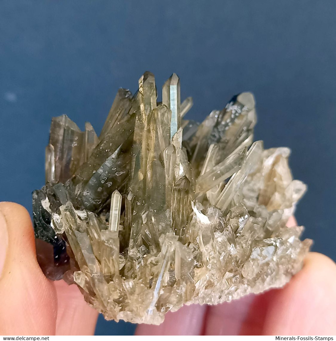 #15 - Beaux Cristaux De QUARTZ MORIONE (Kara-Oba W Deposit, Moiynkum, Jambyl Region, Kazakhstan) - Minéraux