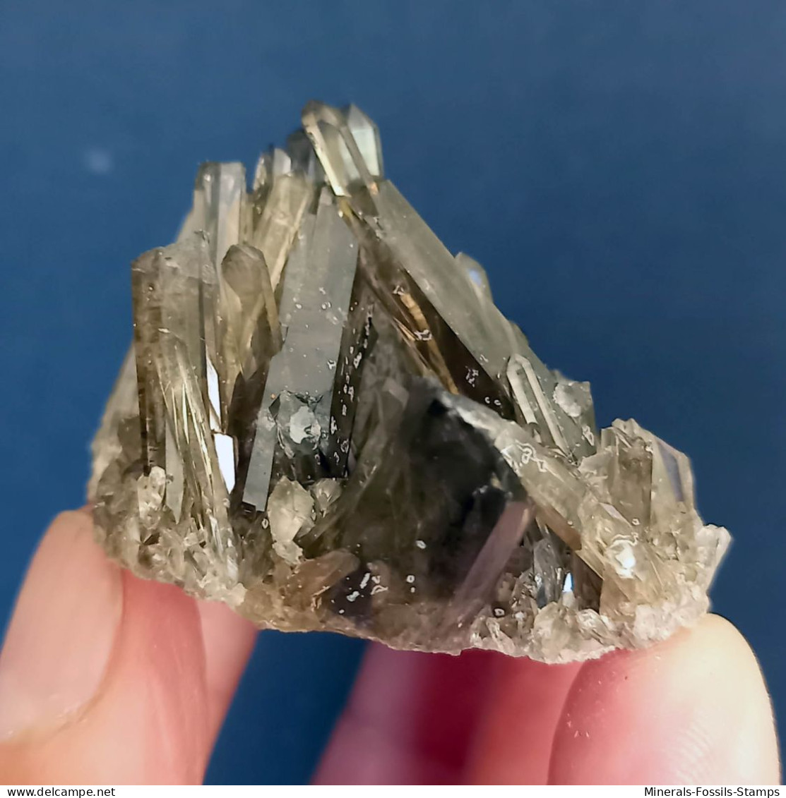 #15 - Beaux Cristaux De QUARTZ MORIONE (Kara-Oba W Deposit, Moiynkum, Jambyl Region, Kazakhstan) - Minerales