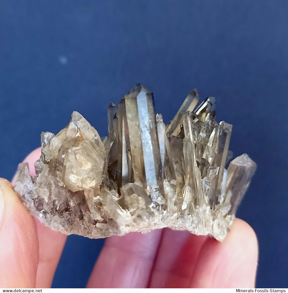 #15 - Beaux cristaux de QUARTZ MORIONE (Kara-Oba W deposit, Moiynkum, Jambyl Region, Kazakhstan)