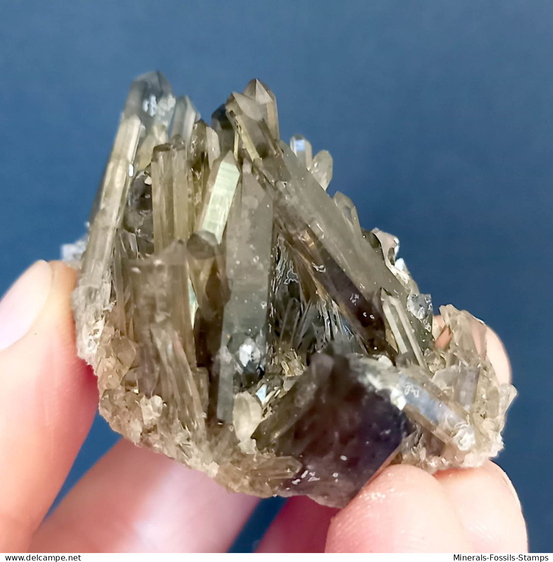 #15 - Beaux cristaux de QUARTZ MORIONE (Kara-Oba W deposit, Moiynkum, Jambyl Region, Kazakhstan)