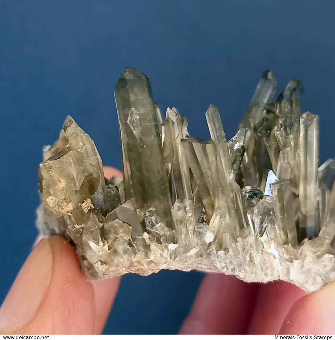 #15 - Beaux cristaux de QUARTZ MORIONE (Kara-Oba W deposit, Moiynkum, Jambyl Region, Kazakhstan)