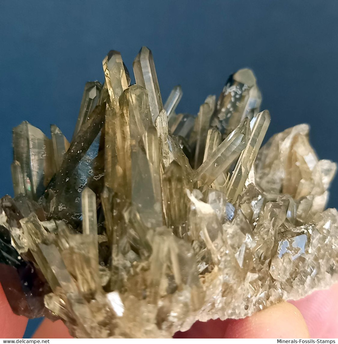 #15 - Beaux cristaux de QUARTZ MORIONE (Kara-Oba W deposit, Moiynkum, Jambyl Region, Kazakhstan)