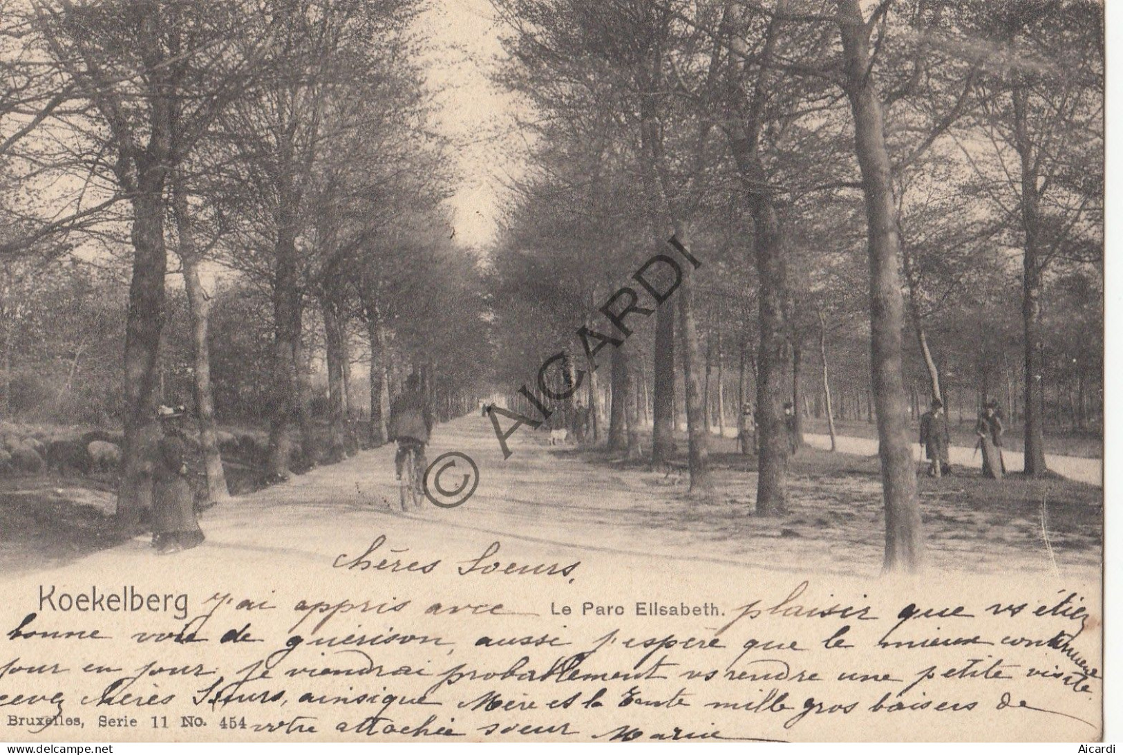 Postkaart/Carte Postale - Koekelberg Le Parc Elisabeth 1903 (A549) - Koekelberg