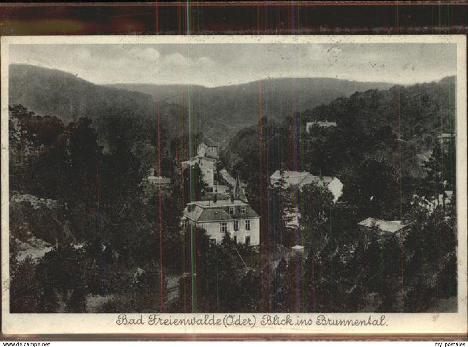 41403875 Bad Freienwalde Blick Ins Brunnental Bad Freienwalde - Bad Freienwalde