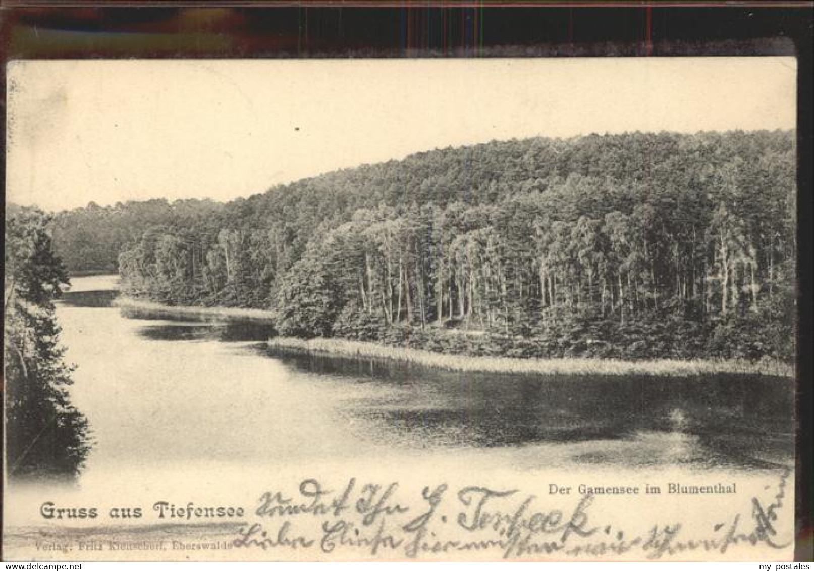 41403824 Tiefensee Bad Freienwalde Der Gamensee Im Blumenthal Werneuchen - Werneuchen