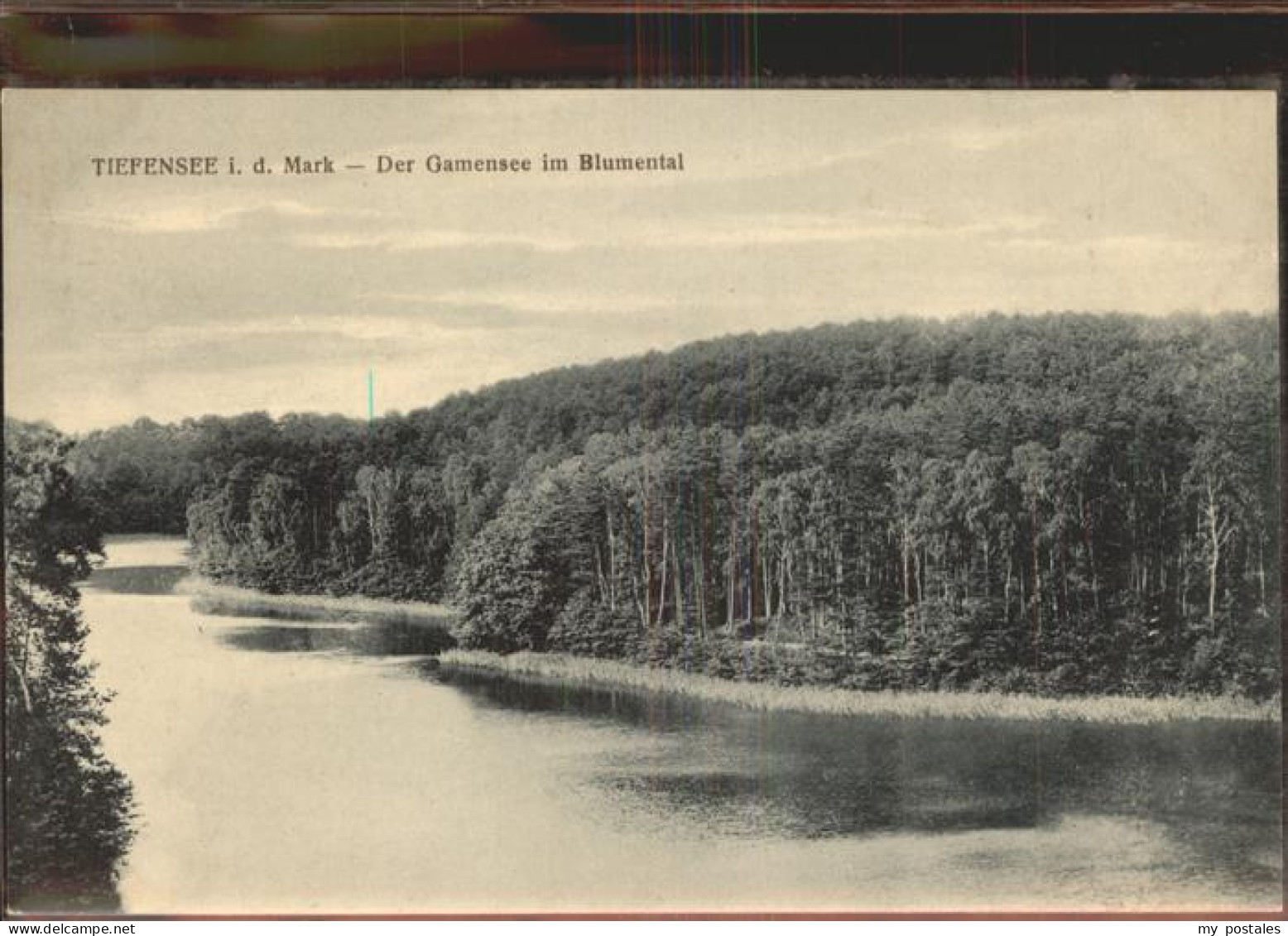 41403823 Tiefensee Bad Freienwalde Der Gamensee Im Blumental Werneuchen - Werneuchen