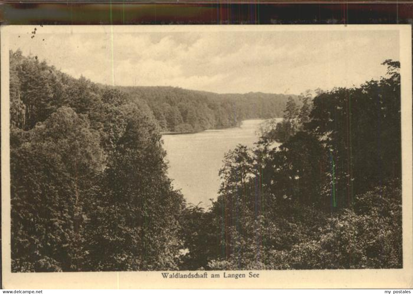 41403813 Tiefensee Bad Freienwalde Waldlandschaft Am Langen See Werneuchen - Werneuchen