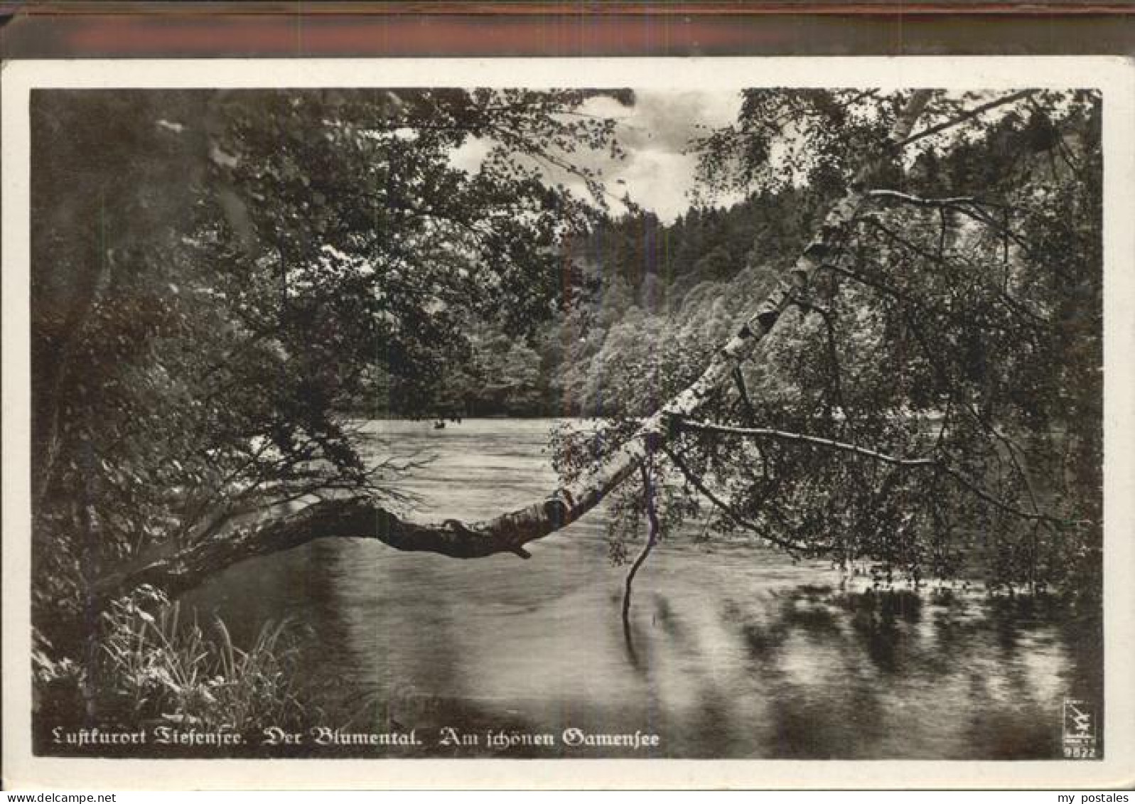 41403807 Tiefensee Bad Freienwalde Blumental Gamensee Werneuchen - Werneuchen