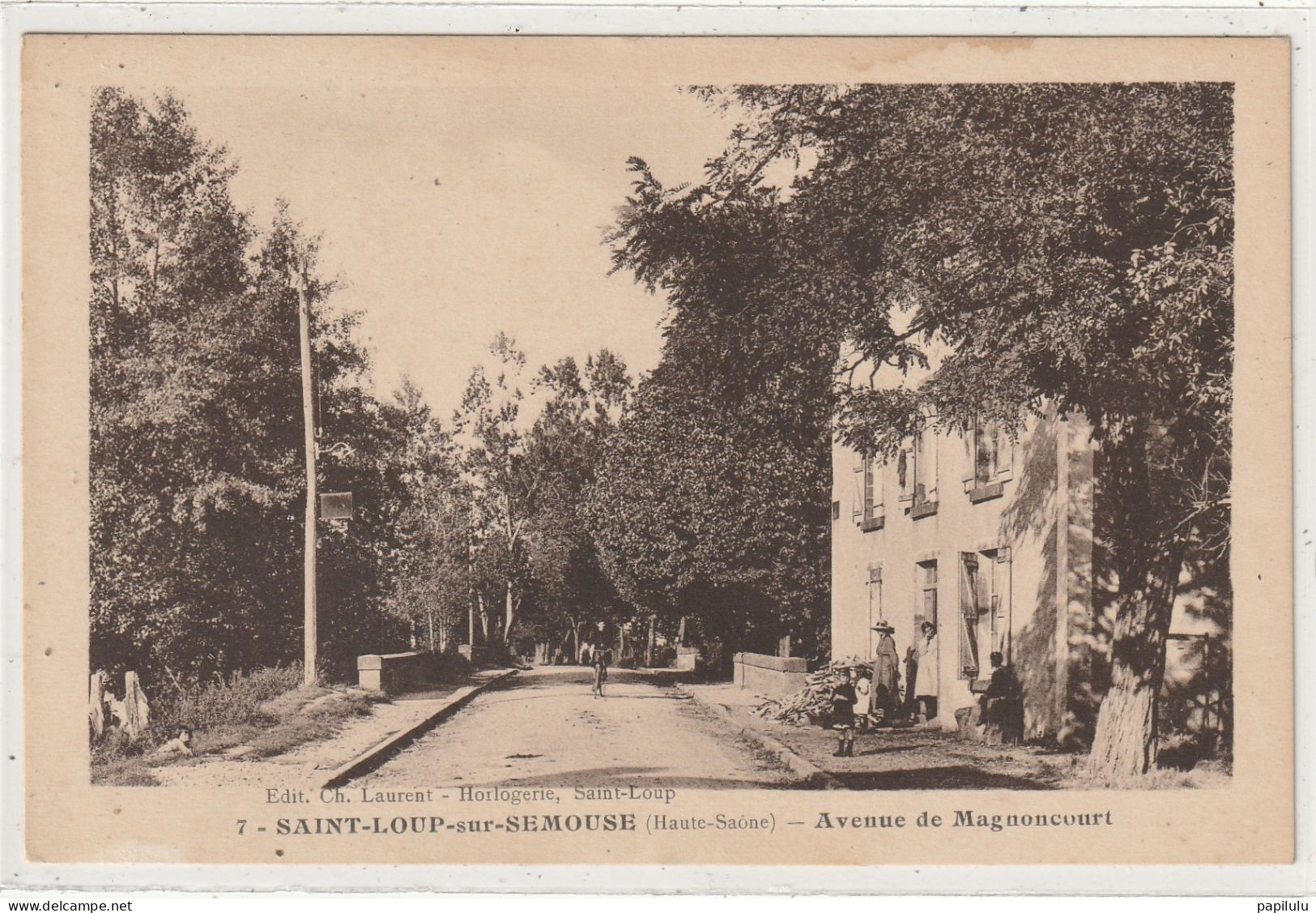 102 DEPT 70 : édit. Ch Laurent N° 7 : Saint Loup Sur Sémousse Avenue De Magnoncourt - Saint-Loup-sur-Semouse