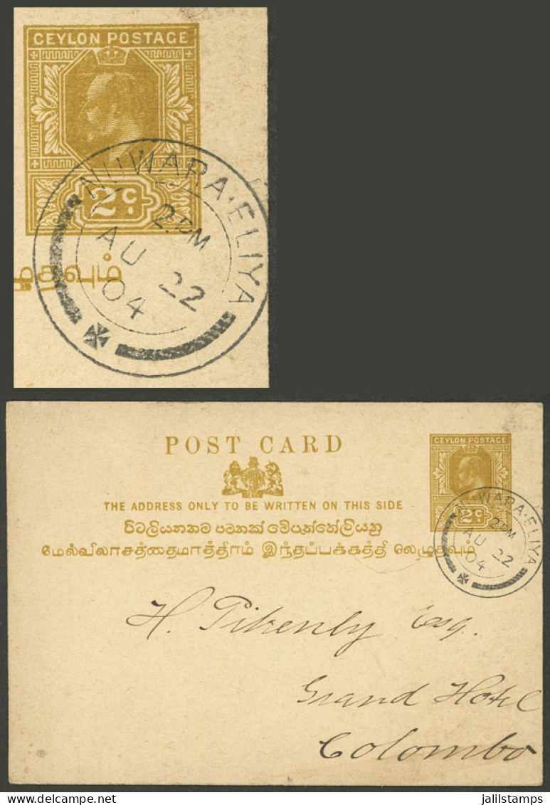 CEYLON: 2c. Postal Card Sent From Nuwara-Eliya To Colombo On 22/AU/1904, VF Quality! - Ceilán (...-1947)