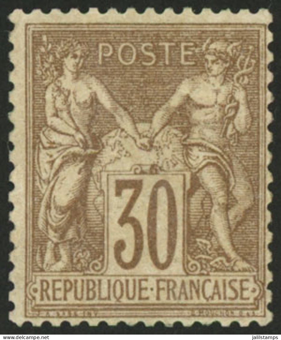 FRANCE: Yvert 69, 1876/8 30c. Light Brown, Lightly Hinged, VF Quality, Catalog Value Euros 600. - Andere & Zonder Classificatie