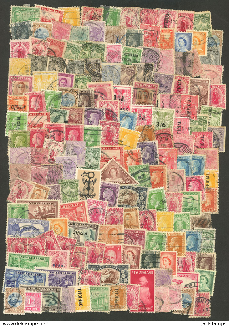 NEW ZEALAND: Lot With Large Number Of Stamps Of Varied Periods, In General Of Fine Quality (some May Have Small Defects) - Altri & Non Classificati