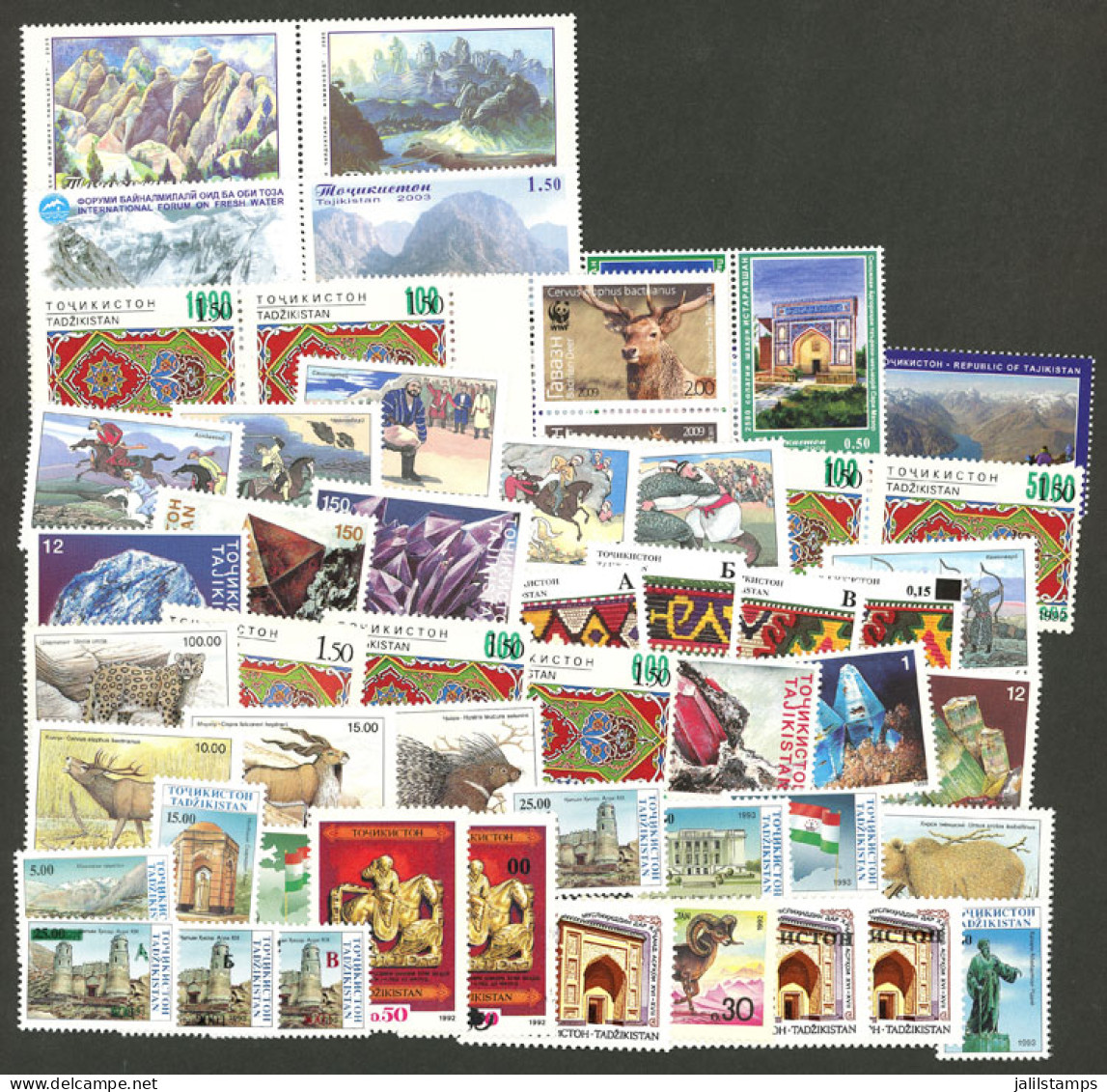 TAJIKISTAN: Good Lot Of Very Thematic Stamps And Sets, MNH And Of Excellent Quality, Good Opportunity At Low Start! - Tadschikistan