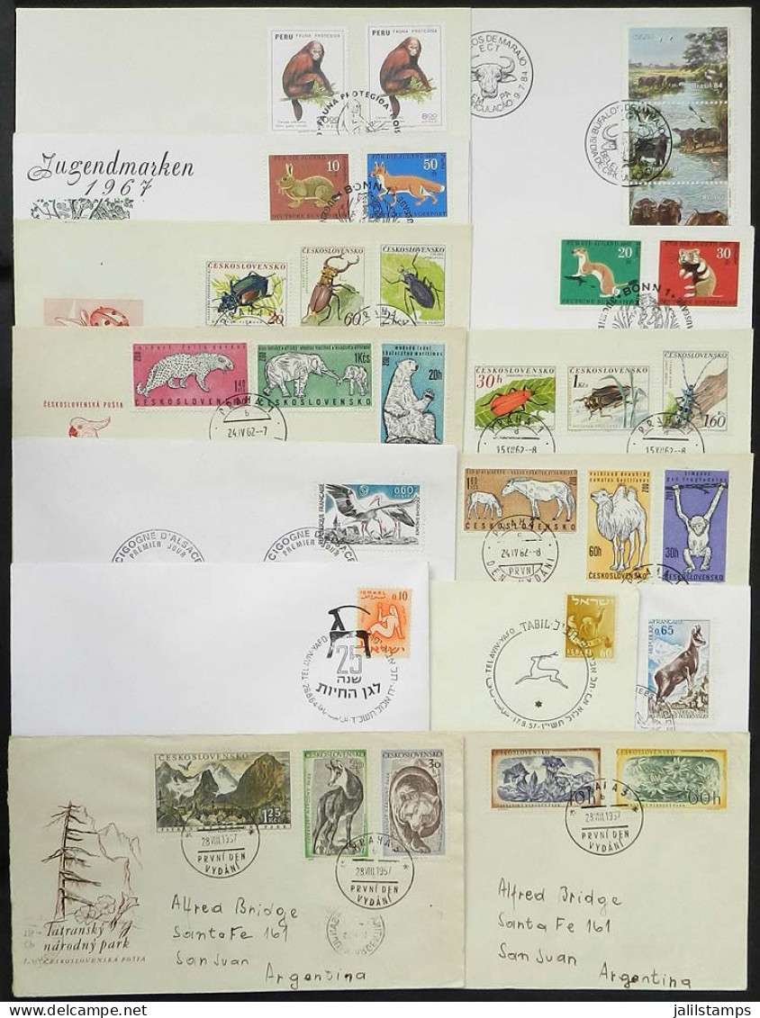 WORLDWIDE: TOPIC FAUNA: 14 FDCs Of Various Countries, Very Nice! - Vrac (max 999 Timbres)