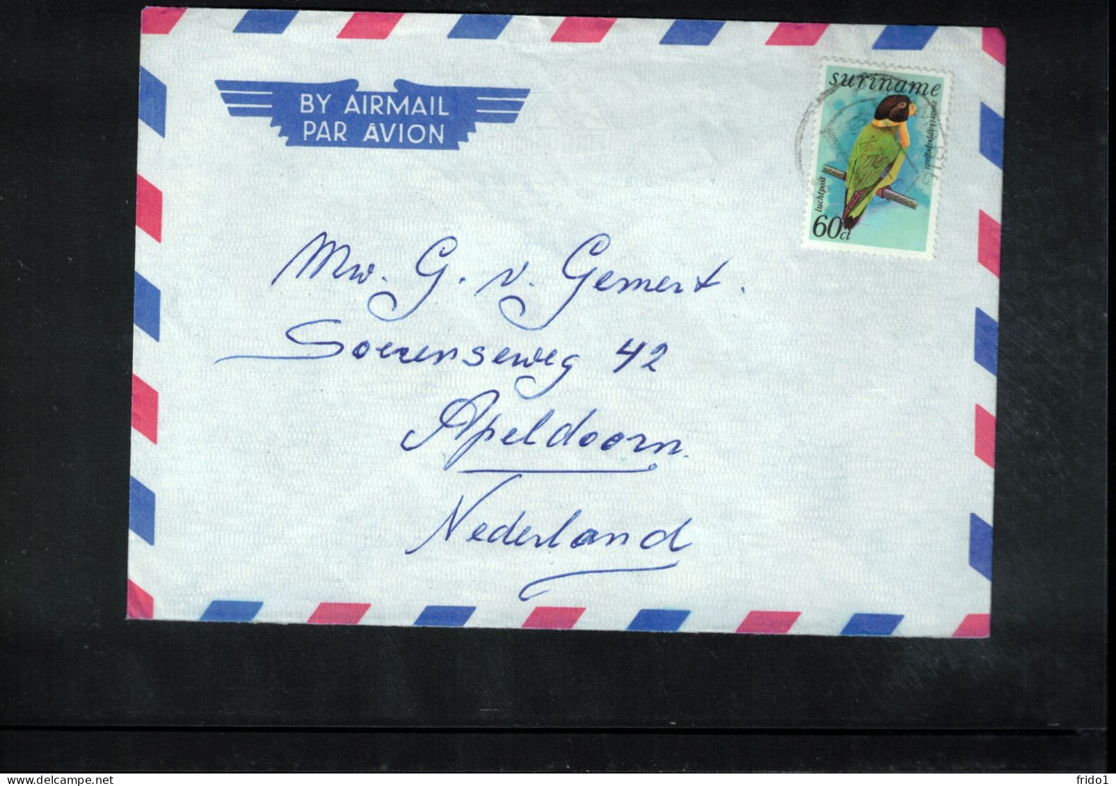 Suriname Bird Interesting Airmail Letter - Suriname