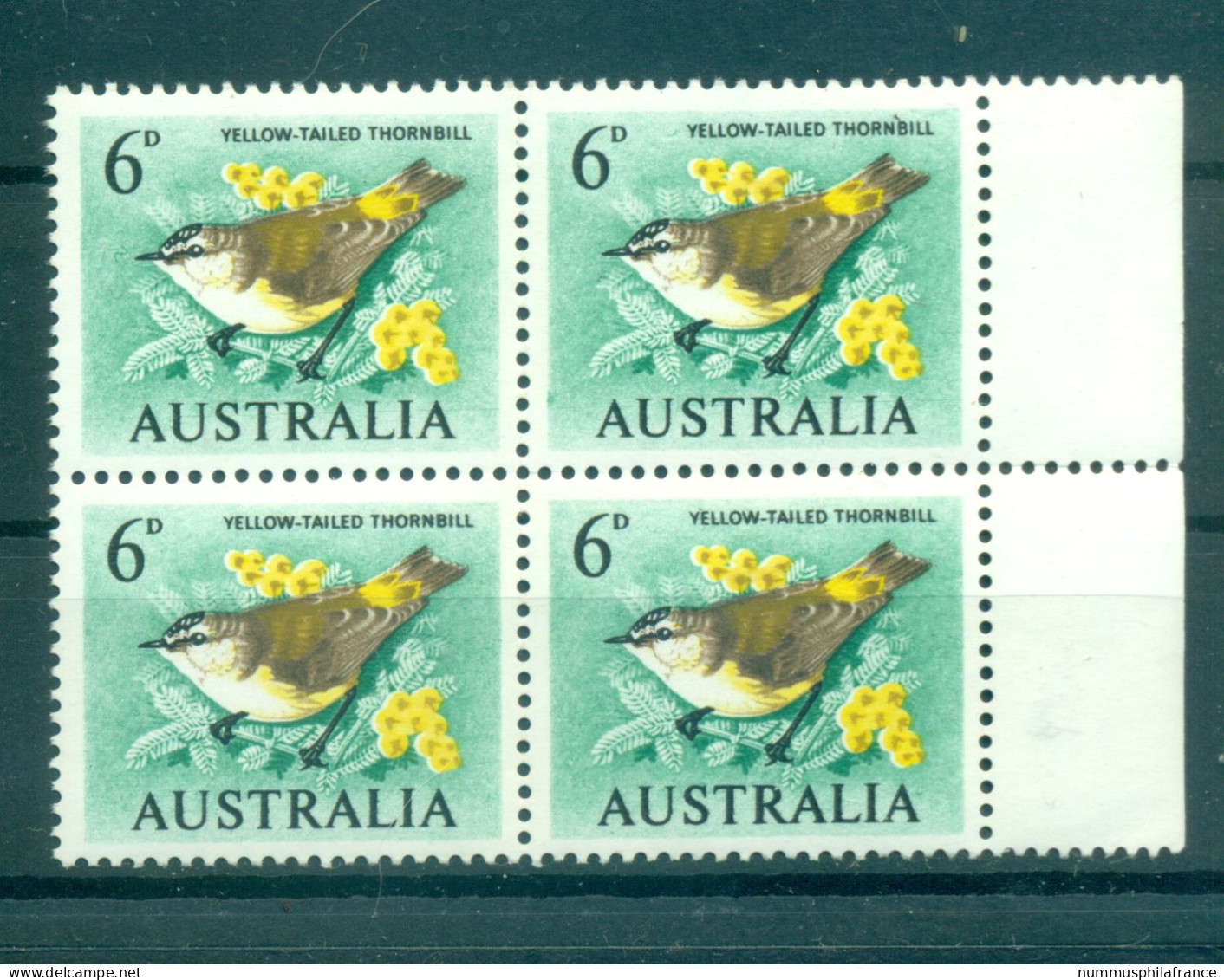 Australie 1963-65 - Y & T N. 291 - Série Courante (Michel N. 339 X) - Mint Stamps