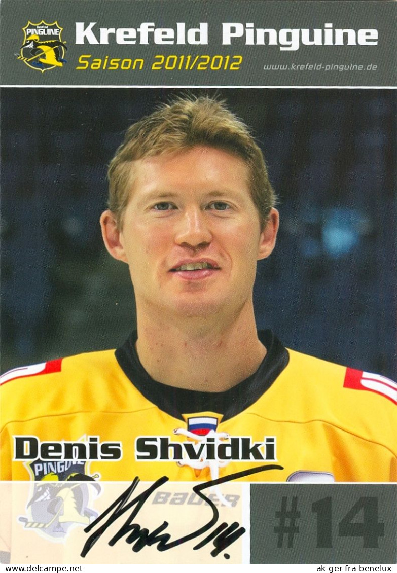 Autogramm Eishockey AK Denis Schwidki Krefeld Pinguine 11-12 KEV Shvidki Oulun Kärpät Hannover Scorpions Csíkszereda - Wintersport