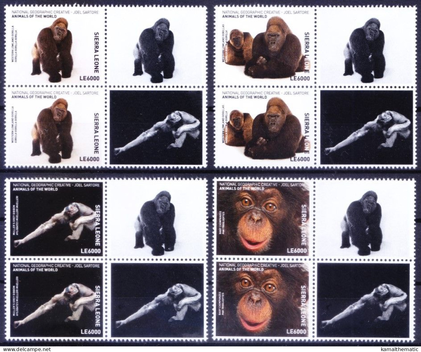 Apes Orangutan Gorilla, Monkeys, Sierra Leone 2017 MNH 4v Vertical Pair, Wild Animals - Gorilas