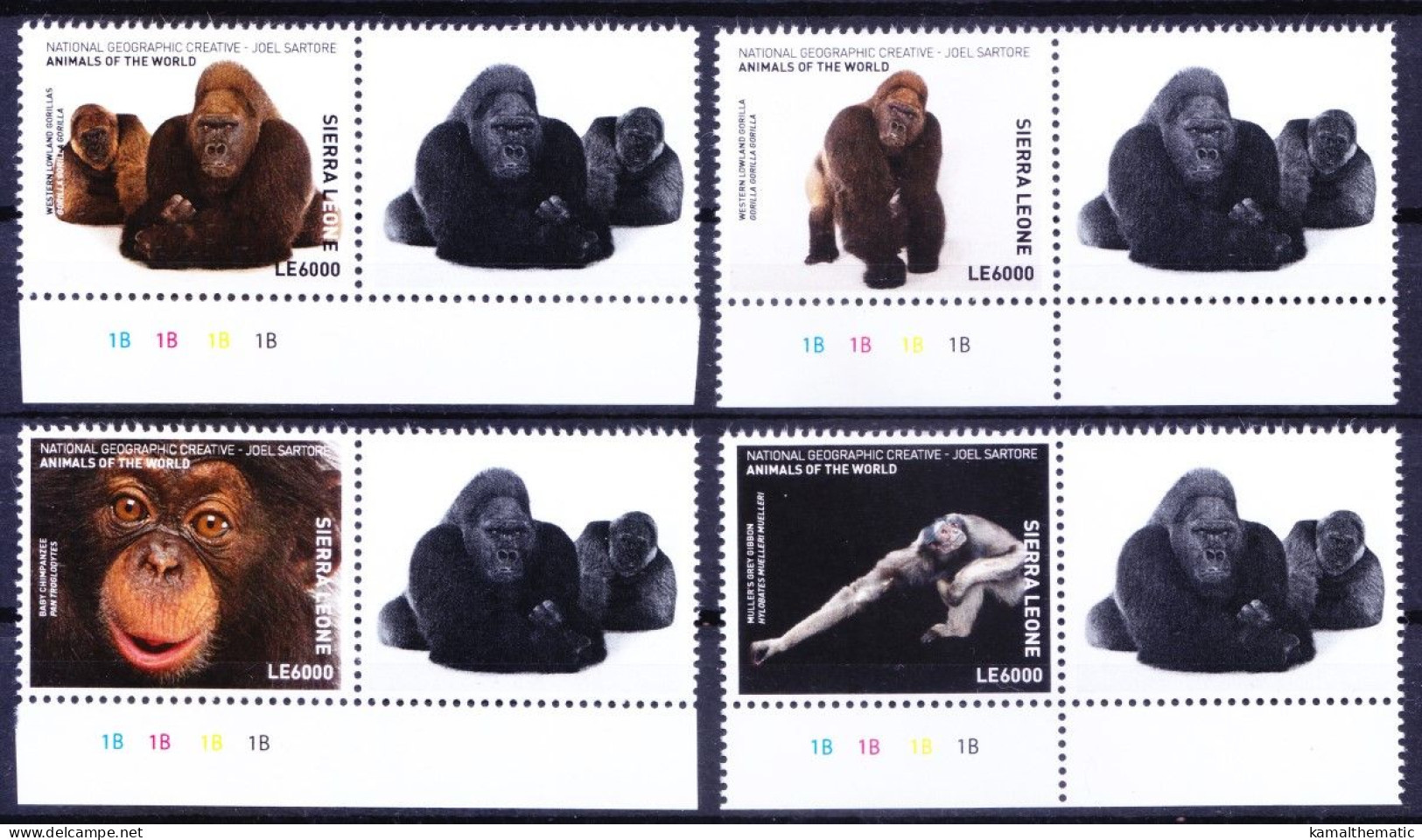 Apes Orangutan Gorilla, Monkeys, Sierra Leone 2017 MNH 4v+Label Color Guide (b), Wild Animals - Gorillas