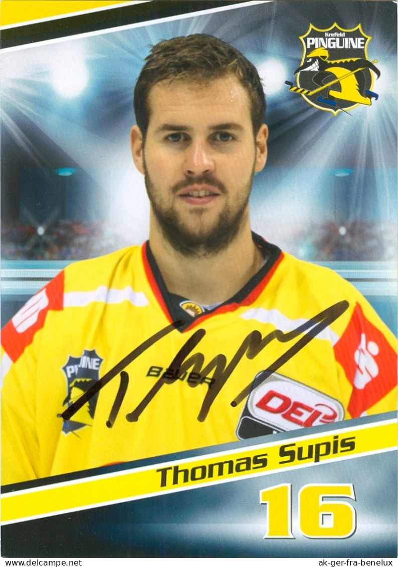 AK Thomas Supis Krefeld Pinguine 15-16 KEV Eisbären Berlin Dresdner Eislöwen EHC Lausitzer Füchse Ravensburg Towerstars - Sports D'hiver