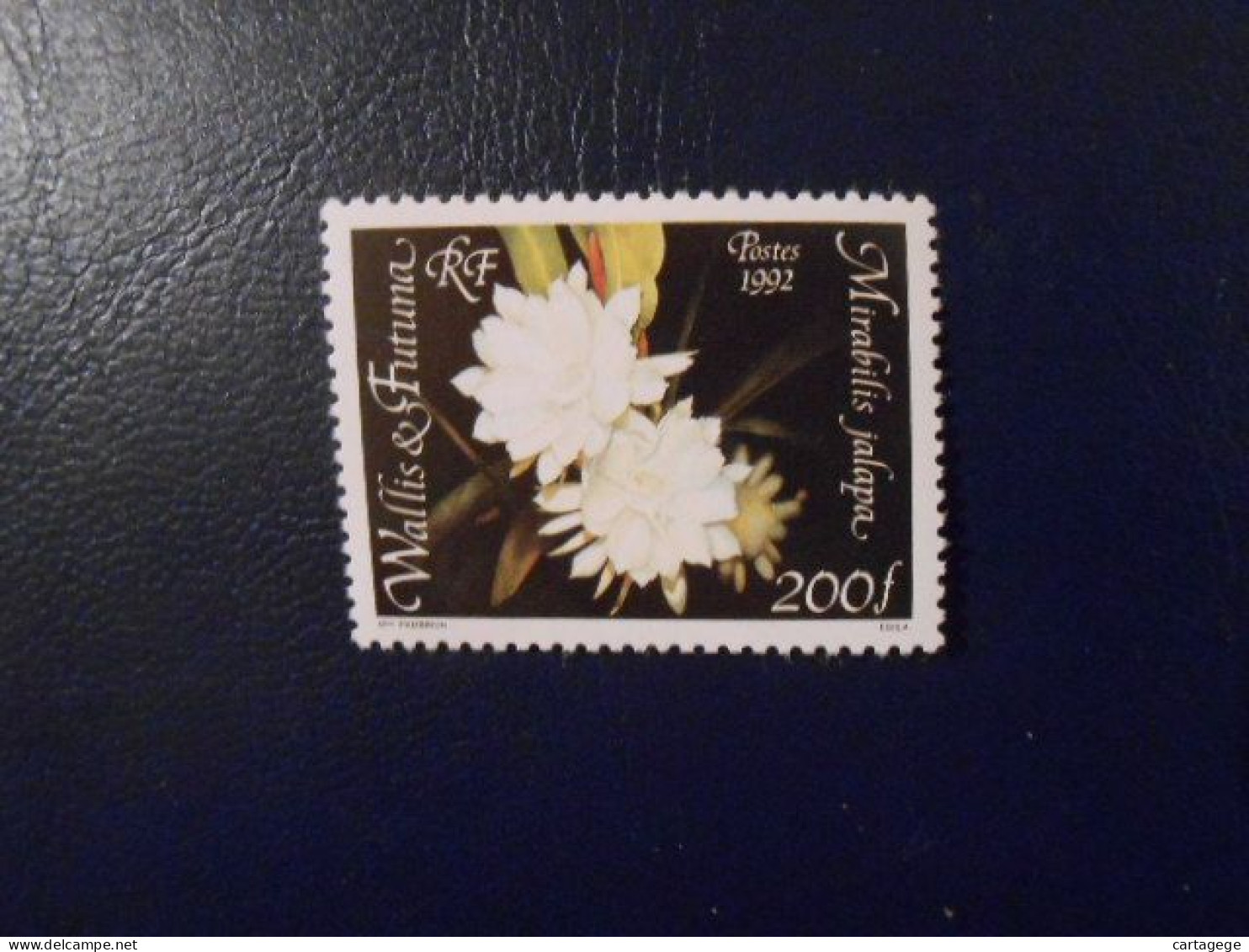 WALLIS-ET-FUTUNA YT 443 FLEURS INDIGENES** - Unused Stamps