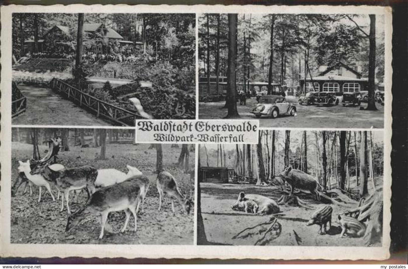 41401978 Eberswalde Wildpark Wasserfall Hirsch Reh Wildschein Eberswalde - Eberswalde