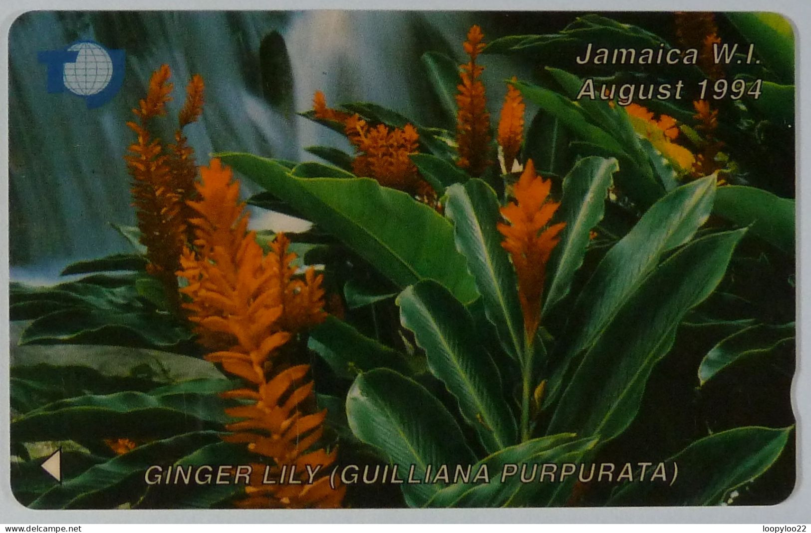 JAMAICA - GPT - Ginger Lily - Specimen - $200 - Giamaica