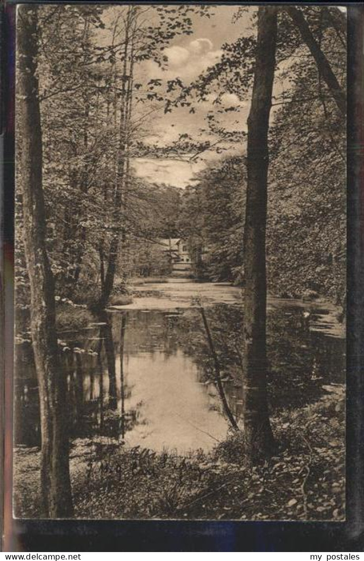 41401588 Eberswalde Goldfischteil Am Wasserfall Eberswalde - Eberswalde