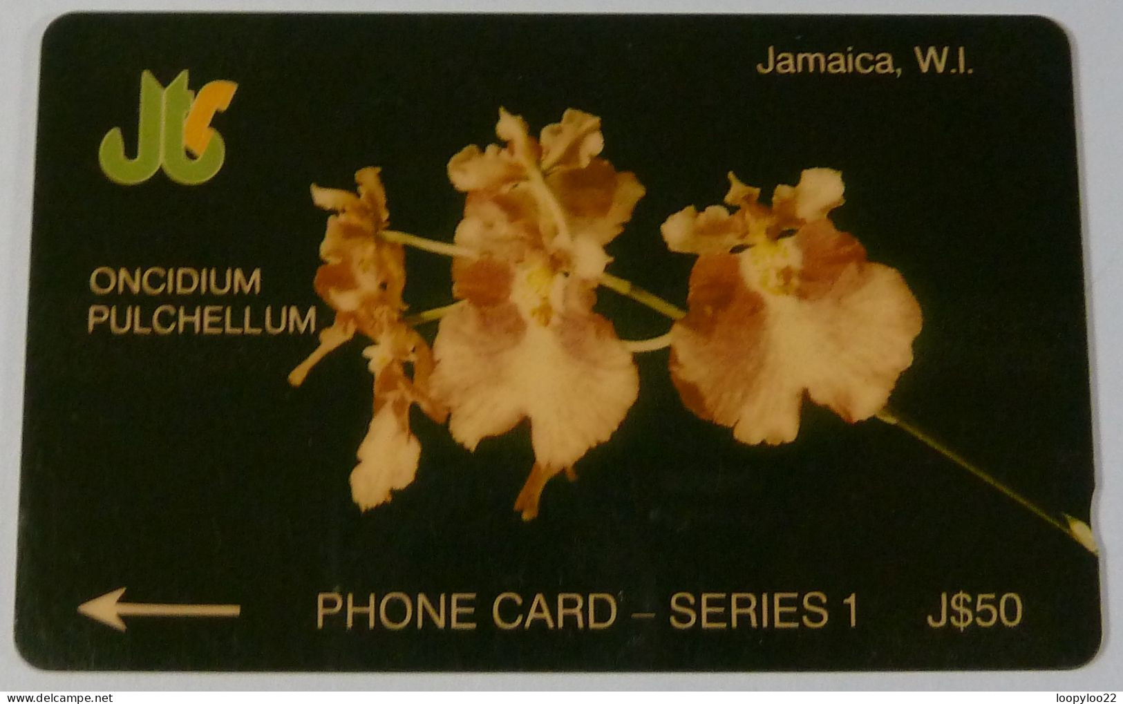 JAMAICA - GPT - Oncidium Pulchellum - Coded Without Control - $50 - Used - Jamaïque