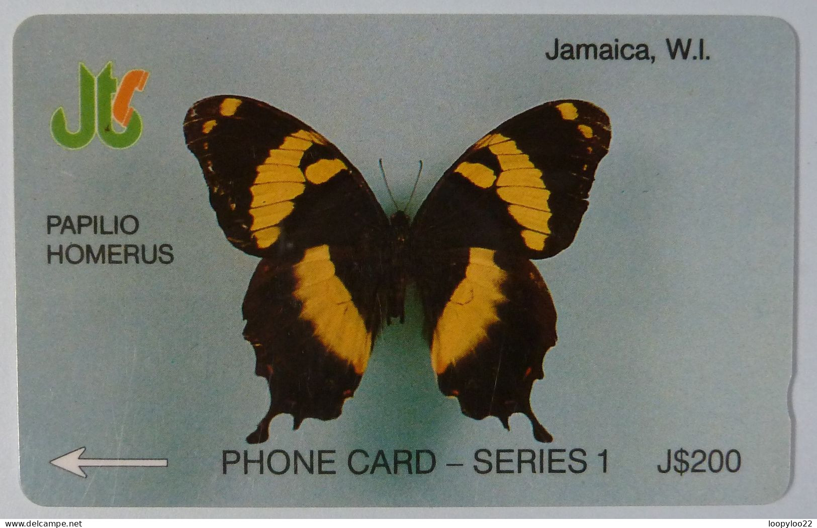 JAMAICA - GPT - Butterfly - Papilio Homerus - Specimen Without Control - $20 - Jamaica