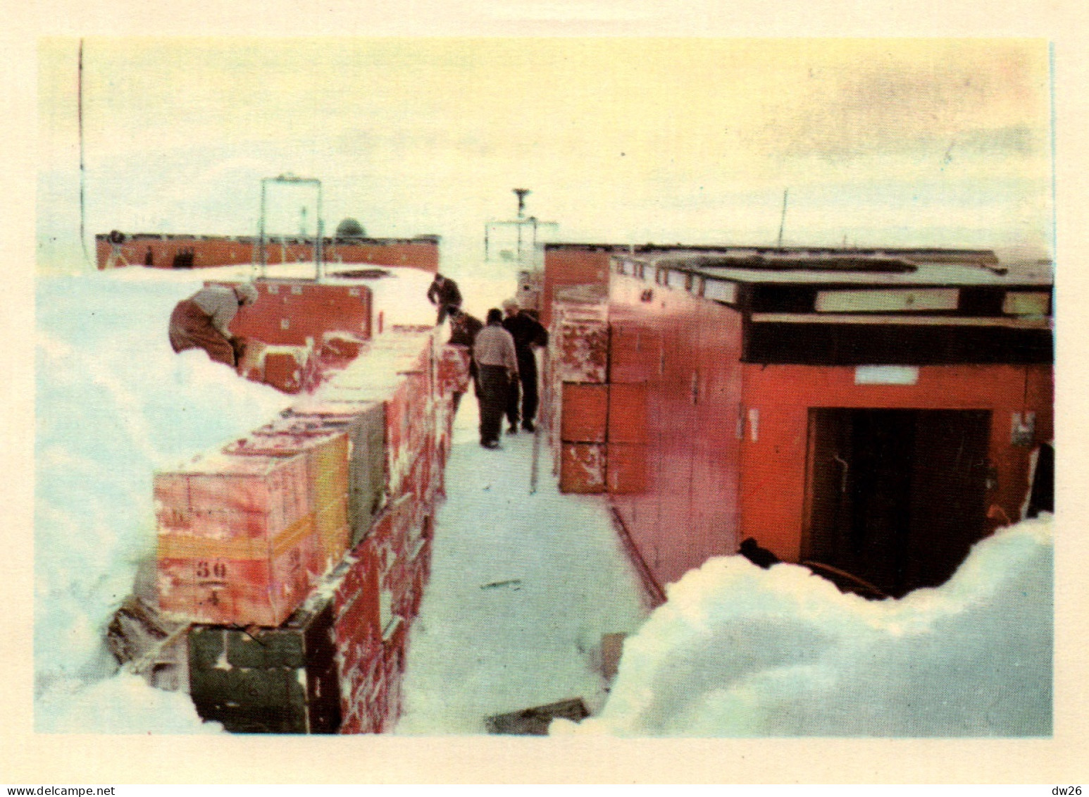 Chromo Chocolats Côte D'Or, Série Antartic - Photo 75: Les Caisses De Chocolat Sont Empilées - Côte D'Or