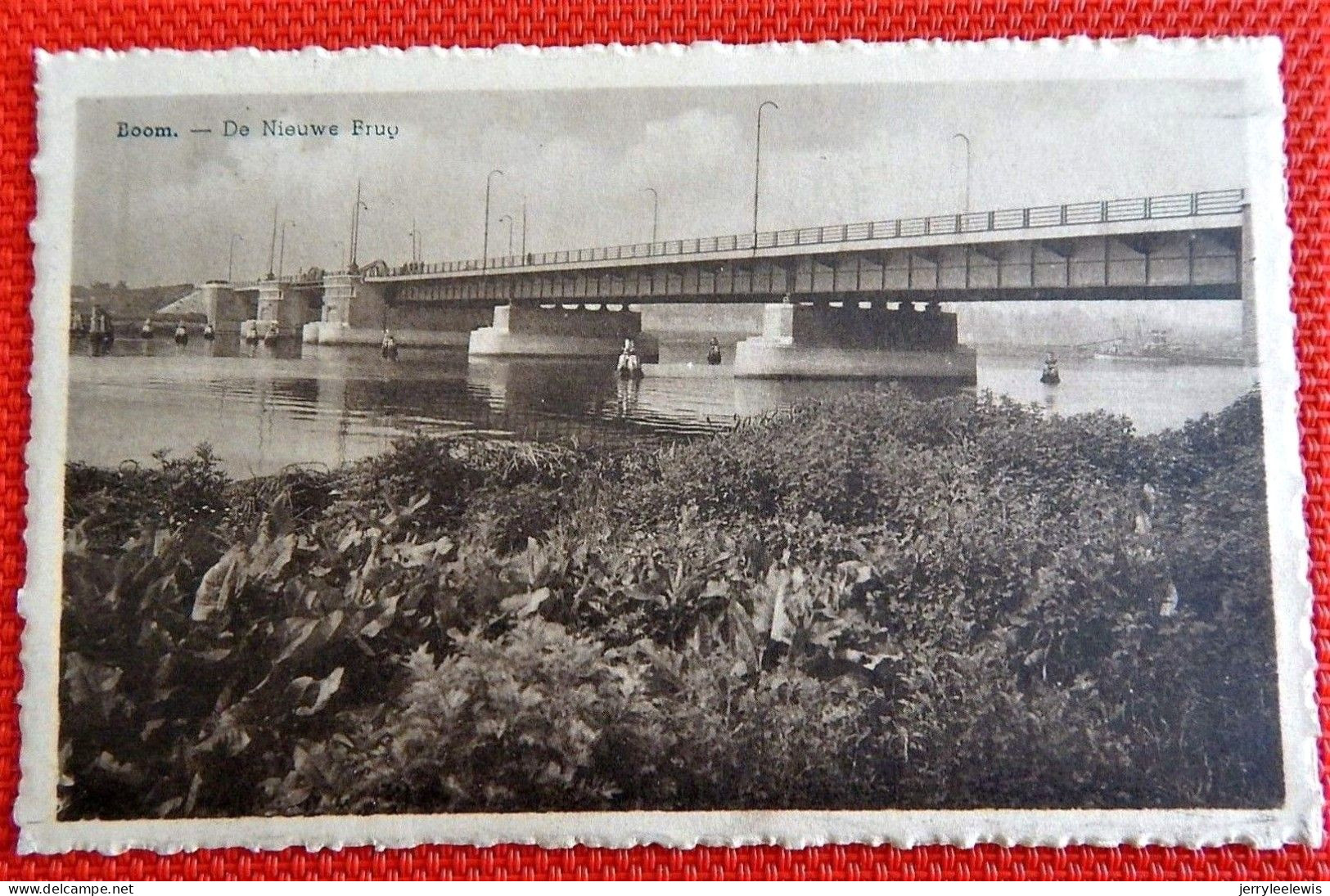 BOOM  -  De Nieuwe Brug - Boom