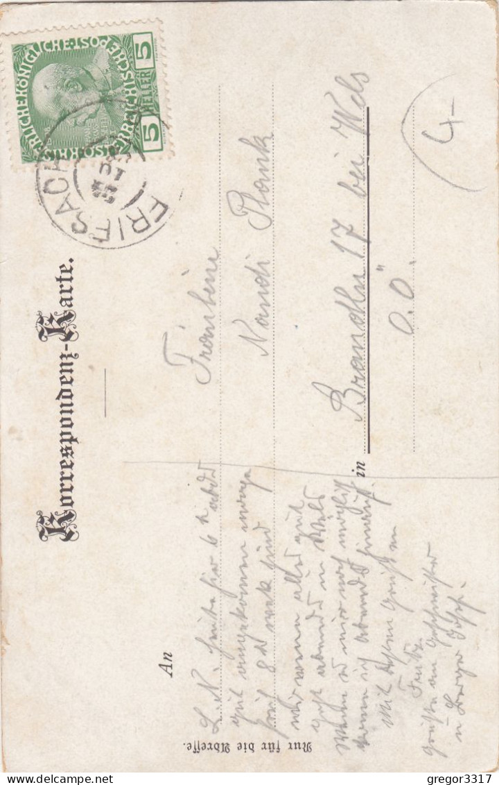 E2475)  FRIESACH In Kärnten - Litho Petersberg U. Stadtgraben 1908 - Friesach