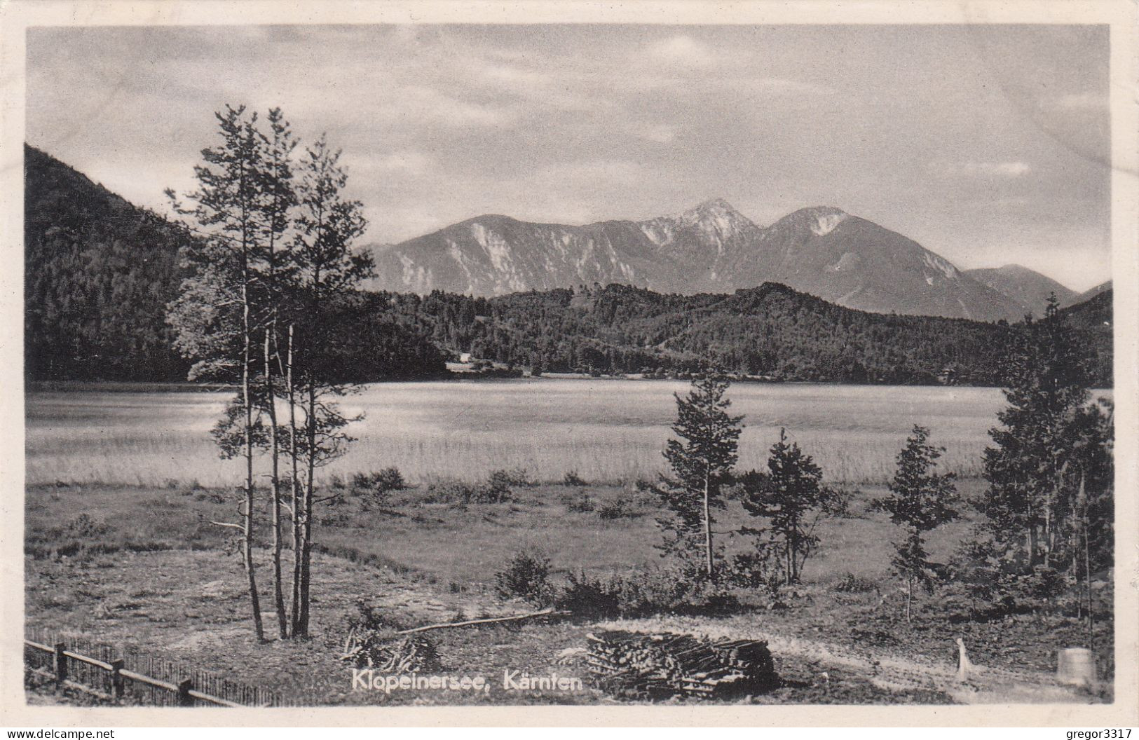 E2501) KLOPEINERSEE - Kärnten - FOTO AK Alt ! Wiese U. Einzelne Bäume Geggen BErge ALT ! - Klopeinersee-Orte