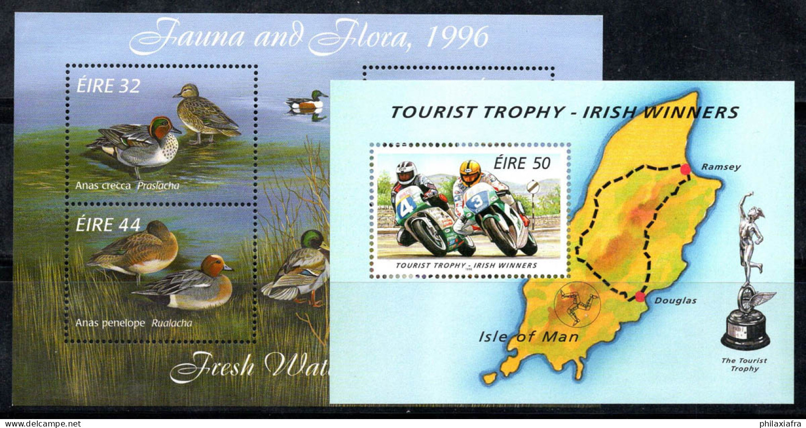 Irlande 1996 Mi. Bl.19-20 Bloc Feuillet 100% Neuf ** Canards,Moto,Île De Man - Blocs-feuillets