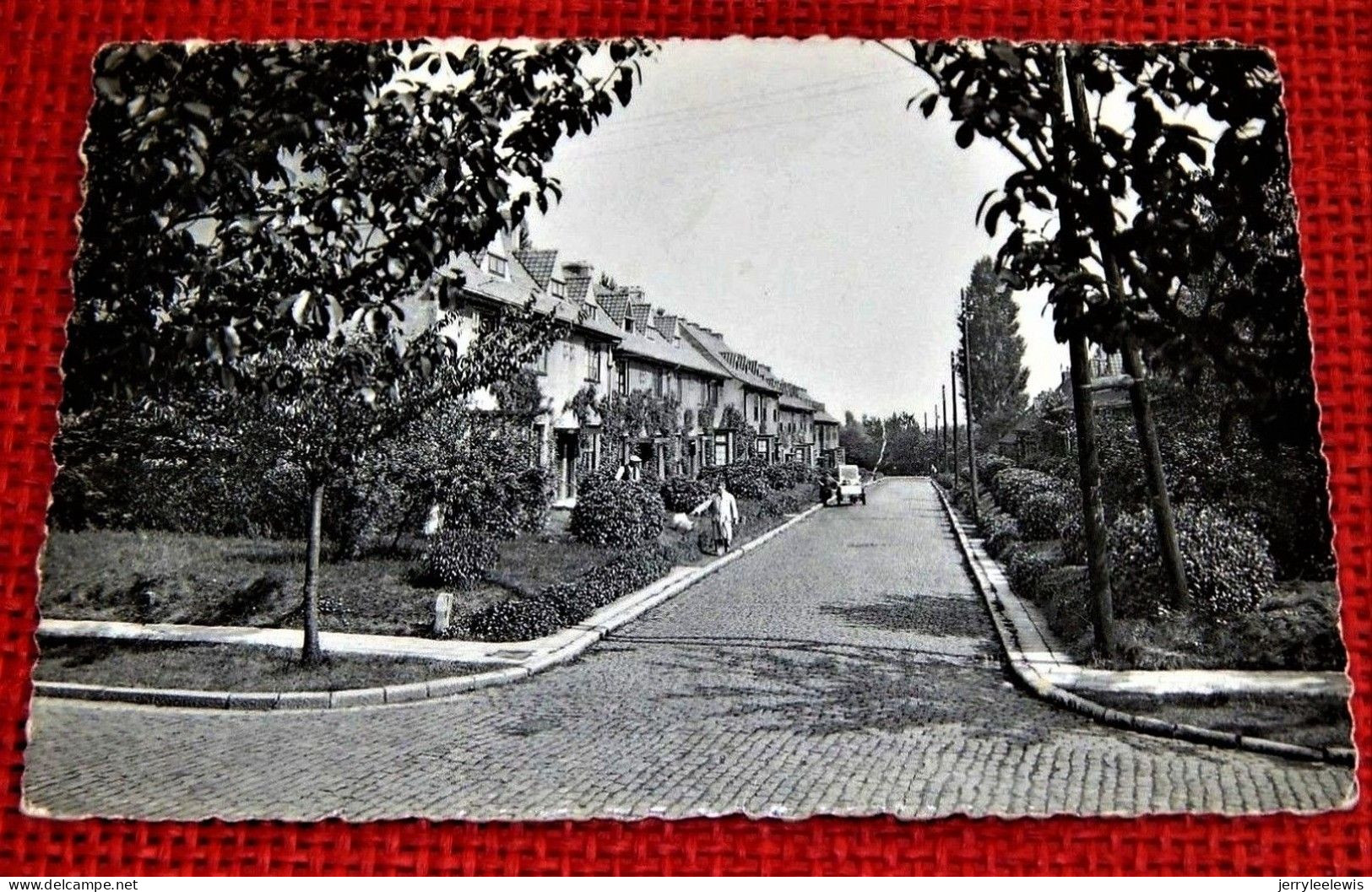 BOITSFORT -    " Le Logis " Rue De L'Autruche - Watermael-Boitsfort - Watermaal-Bosvoorde