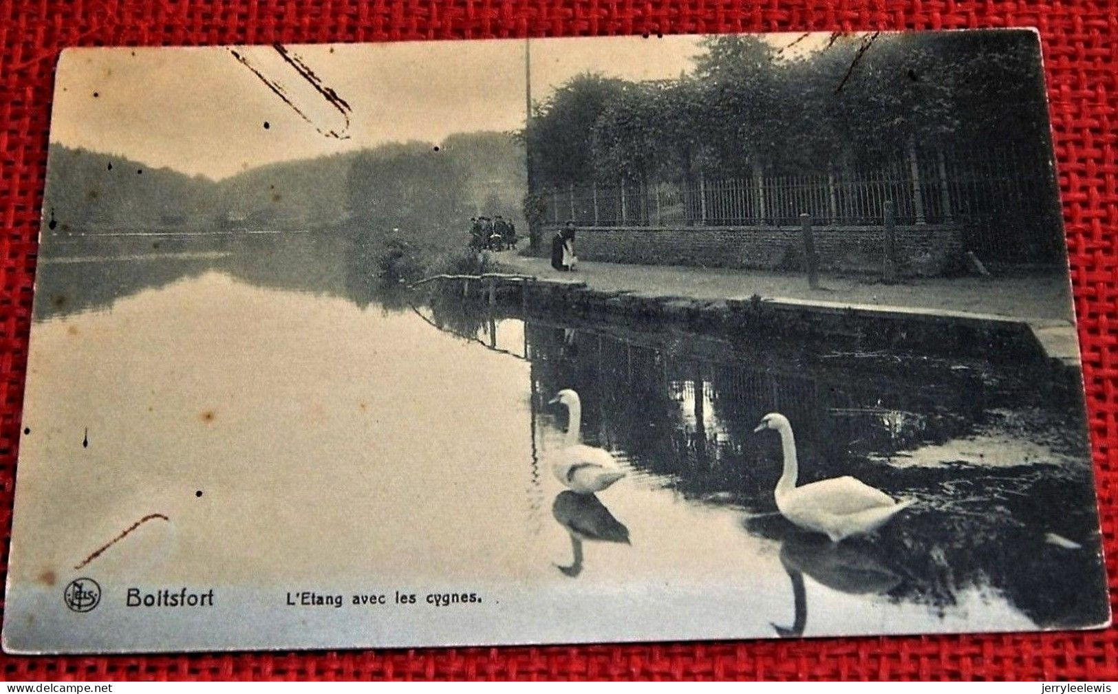 BOITSFORT -     L'Etang Avec Les Cygnes - Watermael-Boitsfort - Watermaal-Bosvoorde