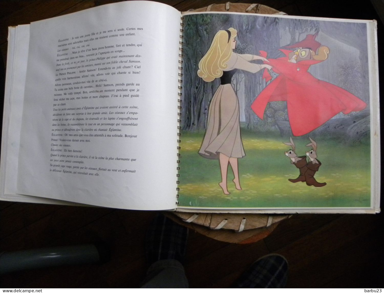 Livre Disque 33T La Belle Au Bois Dormant D'après Le Film De W. Disney, Lu Par Michèle Morgan - Kinderlieder