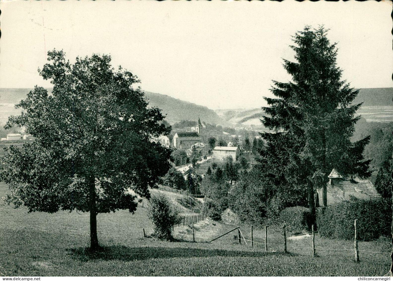 * Cpsm - VIELSALM - Panorama - Edit. Maison OFFERGELD - THILL NELS - 1960 - Vielsalm