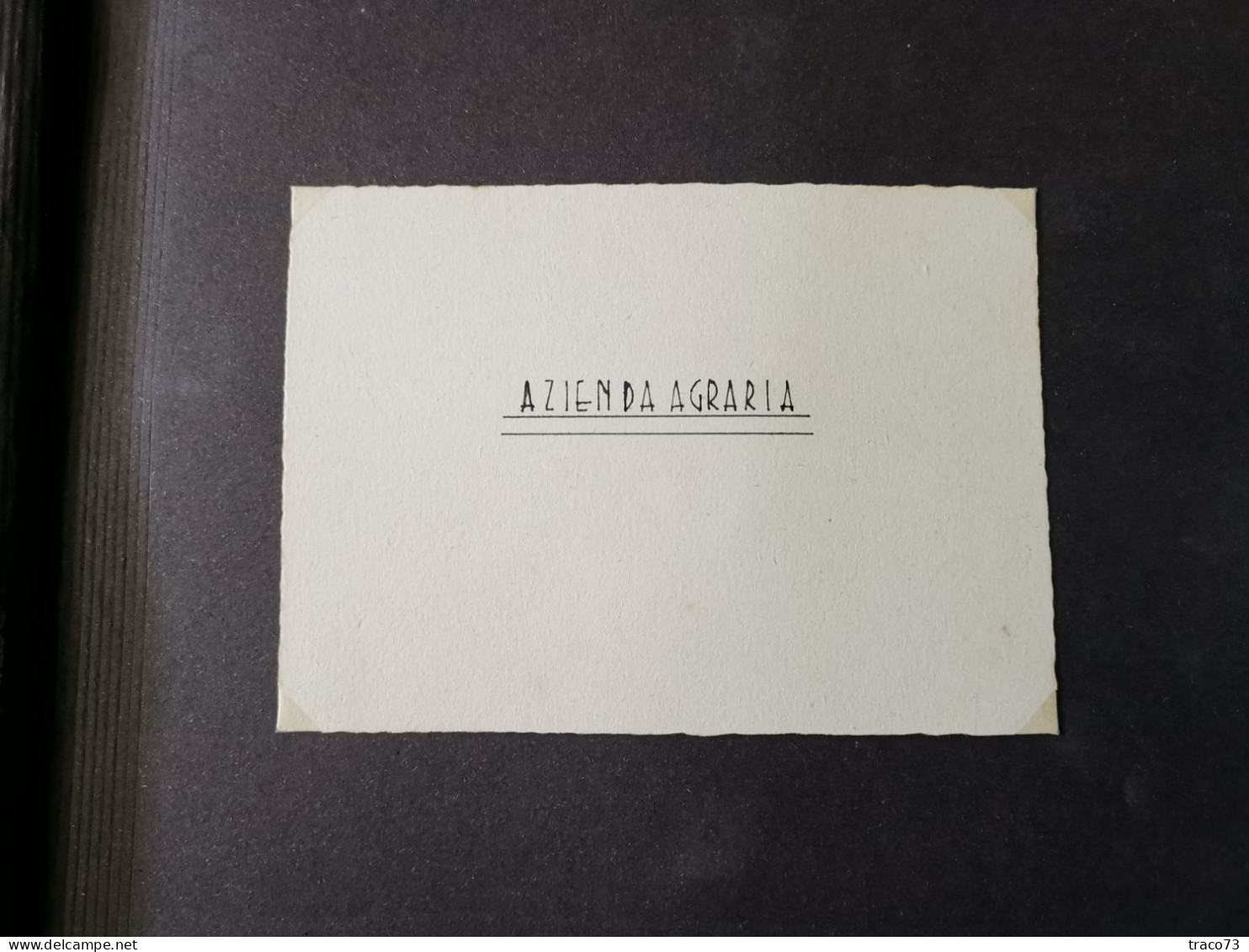 STRASATTI - MARSALA (TP) /  Scuola Professionale Agrario - Album fotografico _Fine anni '40 primi '50