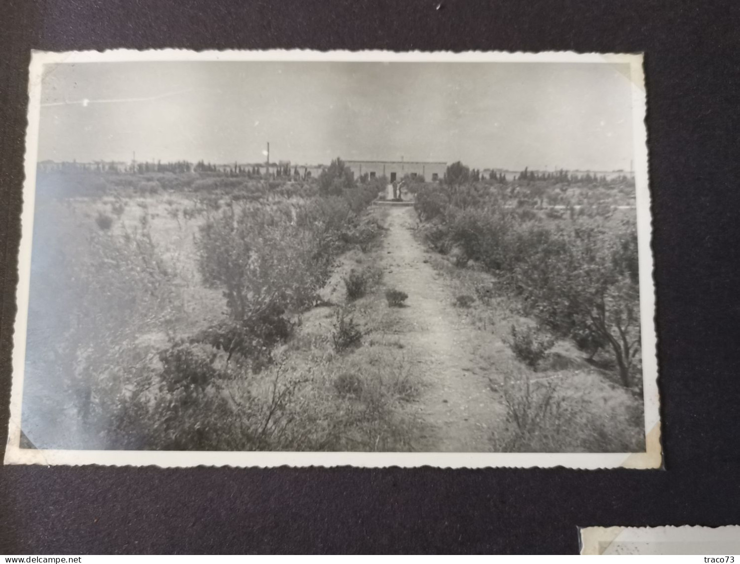 STRASATTI - MARSALA (TP) /  Scuola Professionale Agrario - Album fotografico _Fine anni '40 primi '50